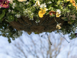 Blumenarragement in einer Straße in Tokyo