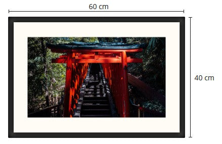 Torii Tore in Tokyo gerahmtes Foto