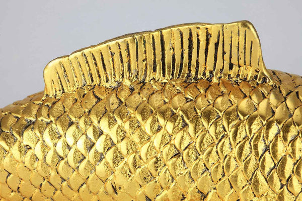 Flosse des vergoldeten japanischen Koi Karpfens