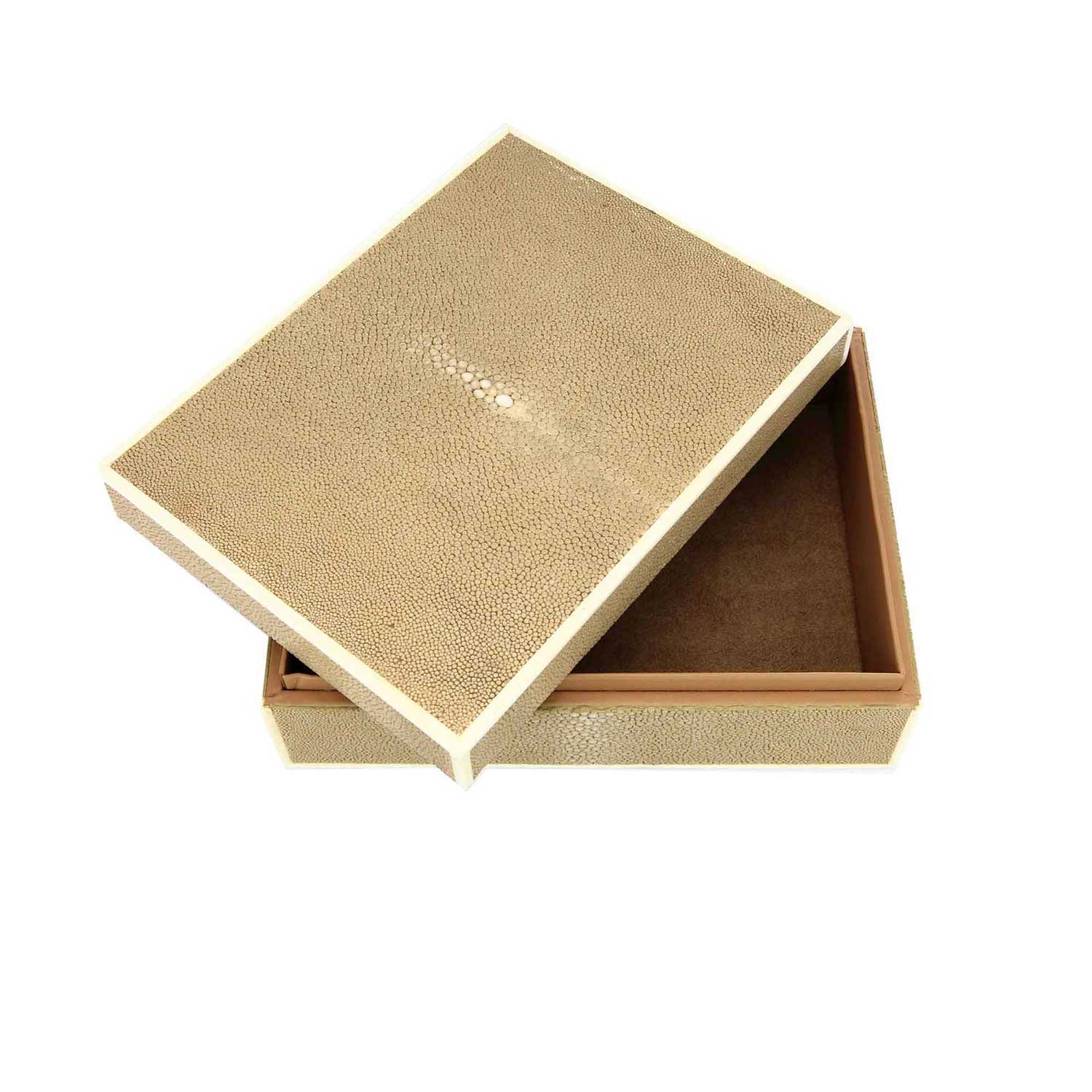 Box Elegance Champagne L